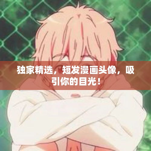 獨家精選，短發(fā)漫畫頭像，吸引你的目光！