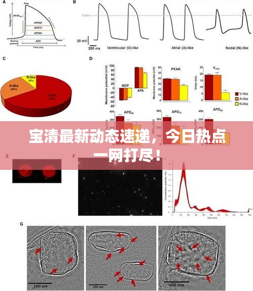 寶清最新動(dòng)態(tài)速遞，今日熱點(diǎn)一網(wǎng)打盡！