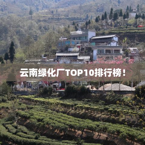 云南綠化廠TOP10排行榜！