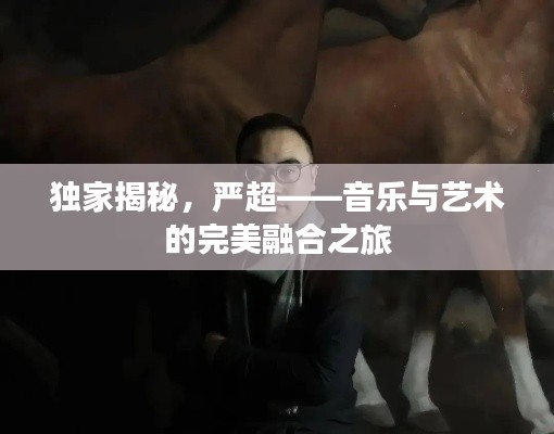 獨(dú)家揭秘，嚴(yán)超——音樂與藝術(shù)的完美融合之旅