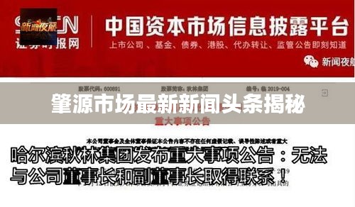 肇源市場最新新聞頭條揭秘