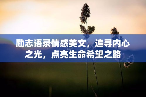 勵志語錄情感美文，追尋內心之光，點亮生命希望之路