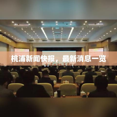 桃浦新聞快報，最新消息一覽