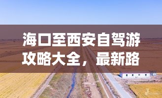 ?？谥廖靼沧择{游攻略大全，最新路線一網(wǎng)打盡