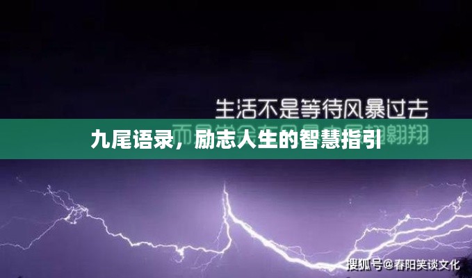 九尾語錄，勵(lì)志人生的智慧指引