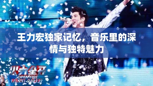 王力宏獨(dú)家記憶，音樂(lè)里的深情與獨(dú)特魅力