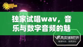 獨家試唱wav，音樂與數(shù)字音頻的魅力探索