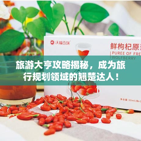 旅游大亨攻略揭秘，成為旅行規(guī)劃領(lǐng)域的翹楚達人！