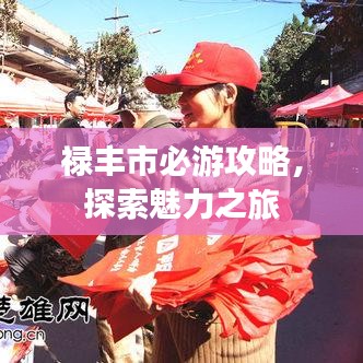 祿豐市必游攻略，探索魅力之旅