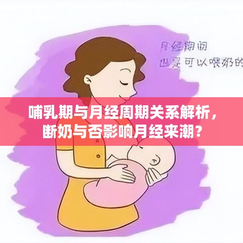 哺乳期與月經(jīng)周期關(guān)系解析，斷奶與否影響月經(jīng)來潮？