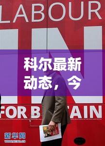 科爾最新動態(tài)，今日新聞一覽