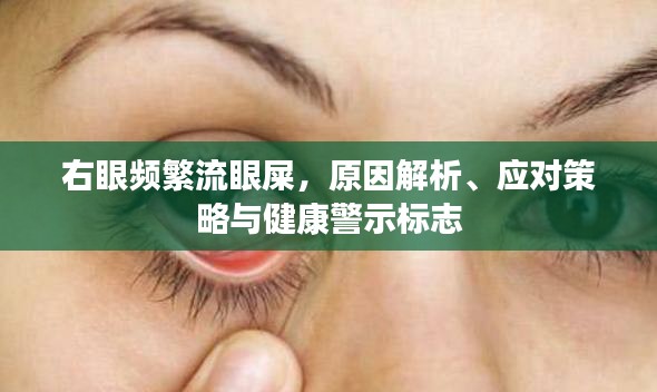 右眼頻繁流眼屎，原因解析、應(yīng)對策略與健康警示標(biāo)志