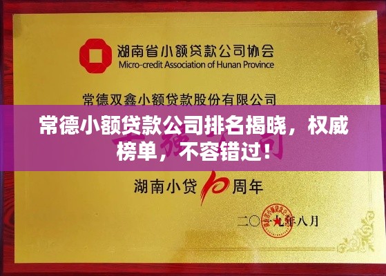 常德小額貸款公司排名揭曉，權(quán)威榜單，不容錯過！