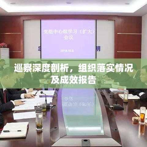 巡察深度剖析，組織落實(shí)情況及成效報(bào)告