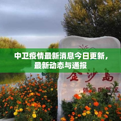 中衛(wèi)疫情最新消息今日更新，最新動態(tài)與通報