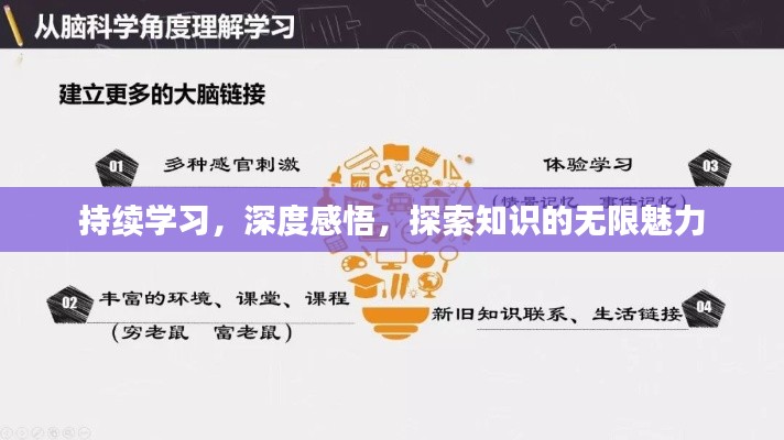 持續(xù)學(xué)習(xí)，深度感悟，探索知識(shí)的無限魅力