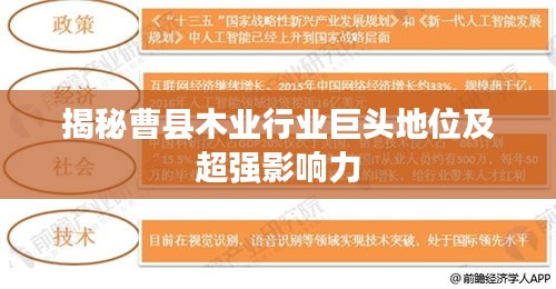 揭秘曹縣木業(yè)行業(yè)巨頭地位及超強影響力