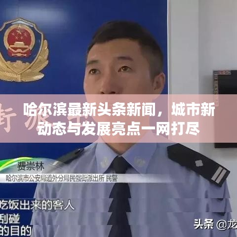 哈爾濱最新頭條新聞，城市新動態(tài)與發(fā)展亮點一網(wǎng)打盡