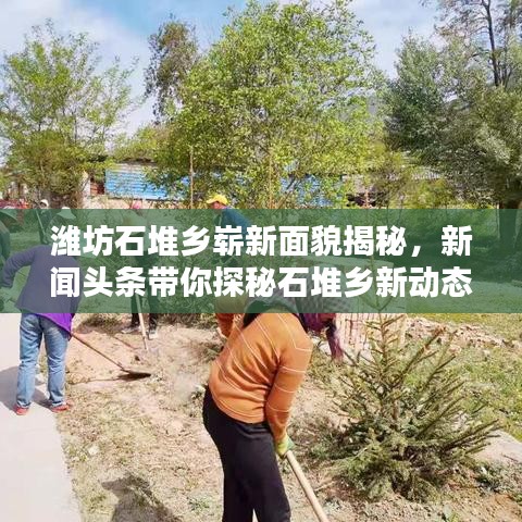 濰坊石堆鄉(xiāng)嶄新面貌揭秘，新聞頭條帶你探秘石堆鄉(xiāng)新動態(tài)