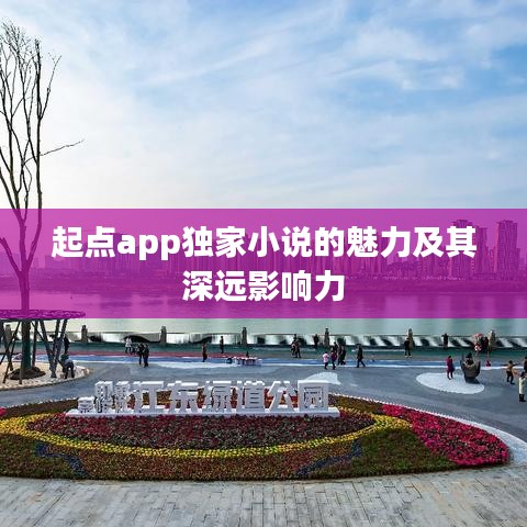 起點app獨家小說的魅力及其深遠影響力
