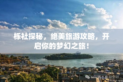櫟社探秘，絕美旅游攻略，開啟你的夢幻之旅！