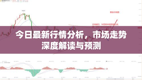今日最新行情分析，市場走勢深度解讀與預(yù)測
