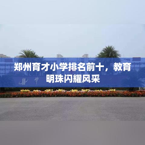 鄭州育才小學排名前十，教育明珠閃耀風采