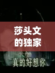 莎頭文的獨家珍藏記憶