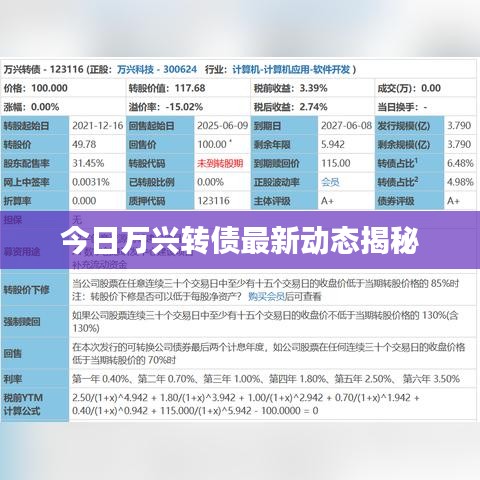 衣無二彩