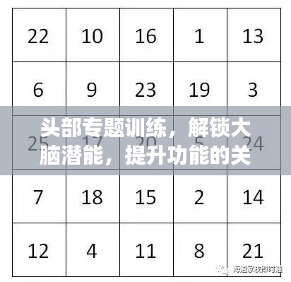 頭部專(zhuān)題訓(xùn)練，解鎖大腦潛能，提升功能的關(guān)鍵路徑