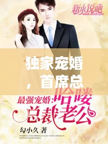 獨家寵婚，首席總裁再次深情相遇
