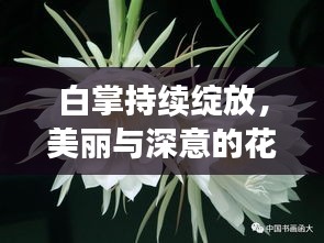 白掌持續(xù)綻放，美麗與深意的花語之旅
