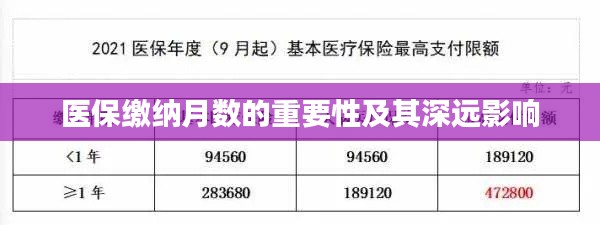 醫(yī)保繳納月數(shù)的重要性及其深遠影響