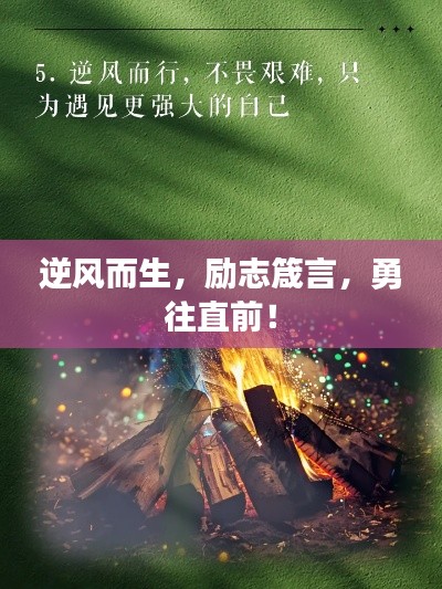 逆風(fēng)而生，勵志箴言，勇往直前！