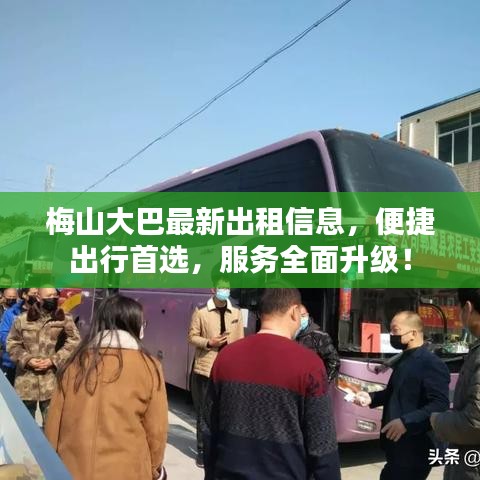 梅山大巴最新出租信息，便捷出行首選，服務(wù)全面升級！