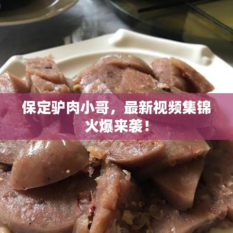 保定驢肉小哥，最新視頻集錦火爆來襲！
