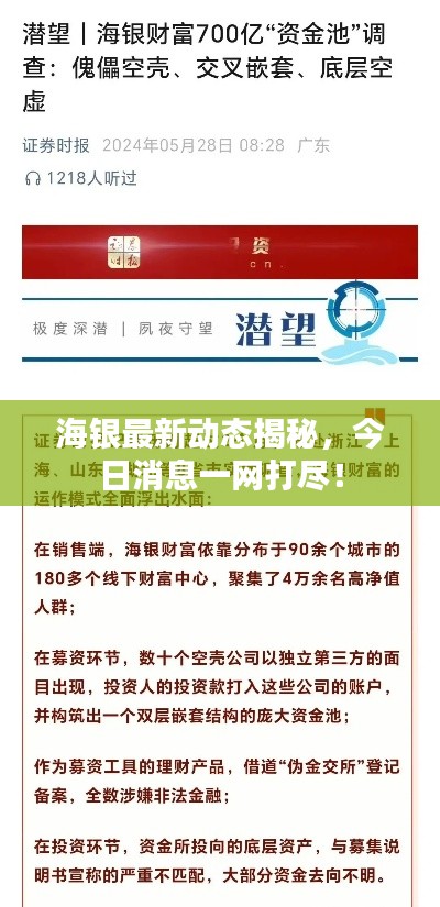 海銀最新動態(tài)揭秘，今日消息一網(wǎng)打盡！