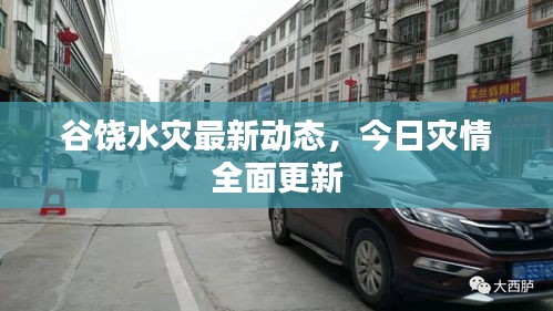 谷饒水災(zāi)最新動態(tài)，今日災(zāi)情全面更新