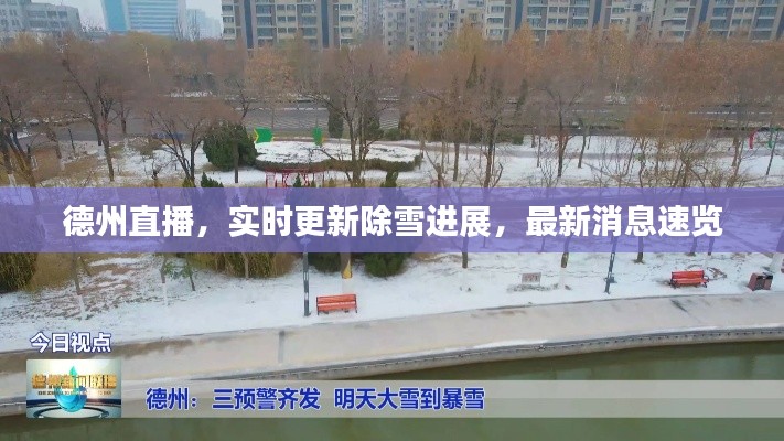 德州直播，實時更新除雪進展，最新消息速覽