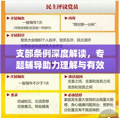 支部條例深度解讀，專題輔導(dǎo)助力理解與有效實(shí)施