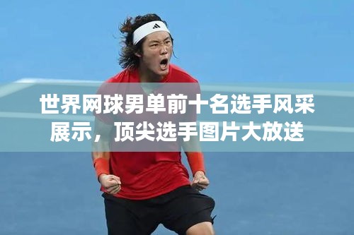 世界網(wǎng)球男單前十名選手風(fēng)采展示，頂尖選手圖片大放送