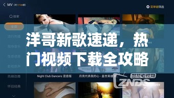 洋哥新歌速遞，熱門視頻下載全攻略