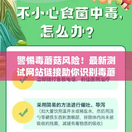 警惕毒蘑菇風(fēng)險(xiǎn)！最新測試網(wǎng)站鏈接助你識別毒蘑菇，保障健康