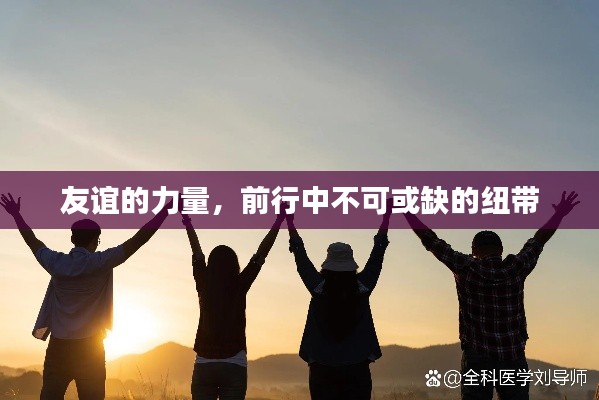 友誼的力量，前行中不可或缺的紐帶