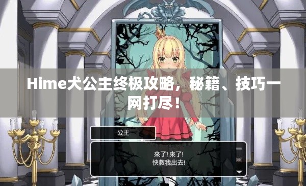 Hime犬公主終極攻略，秘籍、技巧一網(wǎng)打盡！