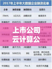 上市公司云計(jì)算公司競(jìng)爭(zhēng)力排名大揭秘