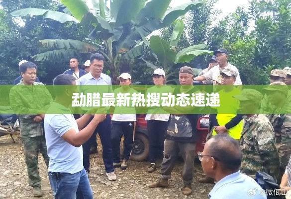 勐臘最新熱搜動(dòng)態(tài)速遞