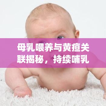 母乳喂養(yǎng)與黃疸關(guān)聯(lián)揭秘，持續(xù)哺乳助力退黃，科學(xué)解讀黃疸與母乳關(guān)系