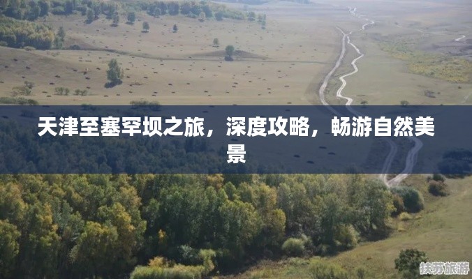 天津至塞罕壩之旅，深度攻略，暢游自然美景