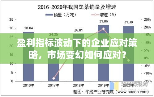 盈利指標波動下的企業(yè)應(yīng)對策略，市場變幻如何應(yīng)對？